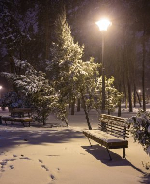 Kış gece manzara-tezgah ağaçlar ve parlayan sokak altında düşen kar taneleri ışıklar.