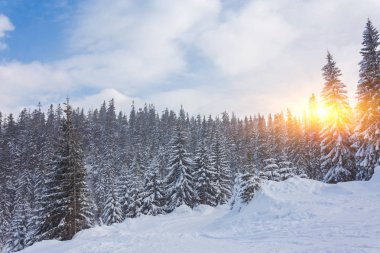 Çit ve yolu ile kırsal Alpin kış manzarası