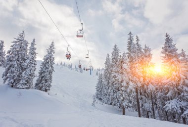 dağ tepe üzerinde kar kaplı ağaçlar.