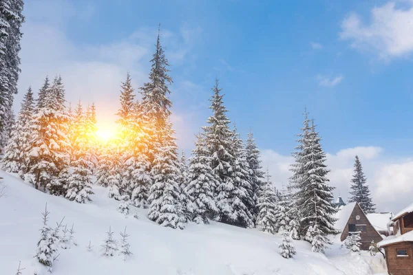Χειμερινό θέρετρο, με πίστες για σκι και σνόουμπορντ — Φωτογραφία Αρχείου