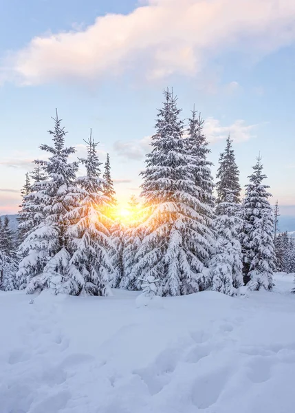 Majestätiska solnedgång i vinter bergen — Stockfoto