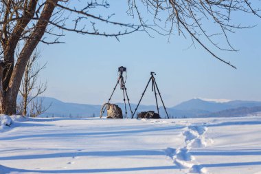 iki tripod