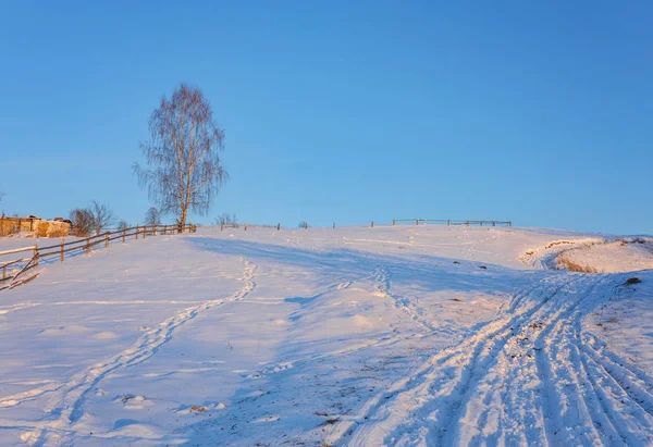 雪と木のたくさんの冬の風景 — ストック写真