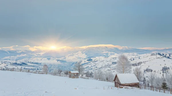Winterlandschaft mit viel Schnee und Bäumen — Stockfoto