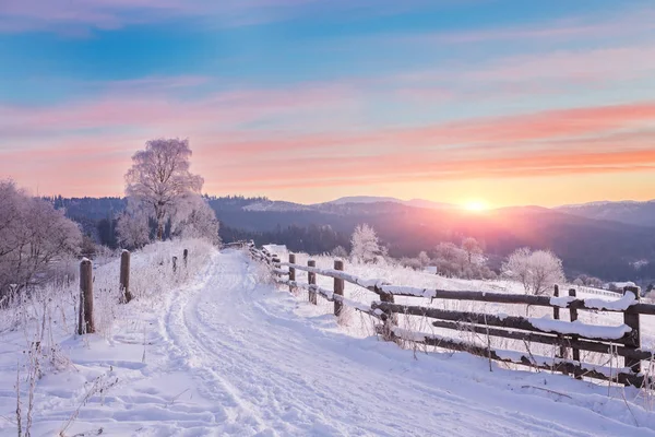 Dağlardaki güzel kış manzarası.