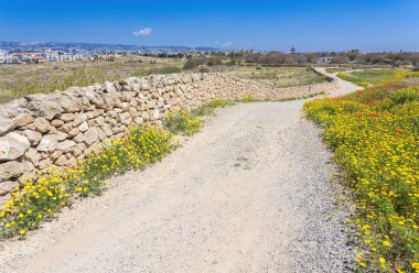 Doğa Kato Pafos arkeolojik Park, Kıbrıs için.