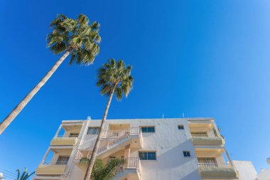 Palmiyeli güzel tropikal gün batımı