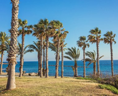 güneşli bir günde resort, Paphos, Kıbrıs