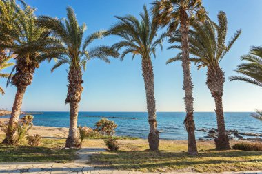 güneşli bir günde resort, Paphos, Kıbrıs