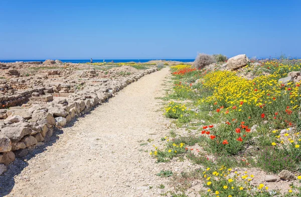 Kato Paphos Archaeological Park, Cyprus. — Stockfoto