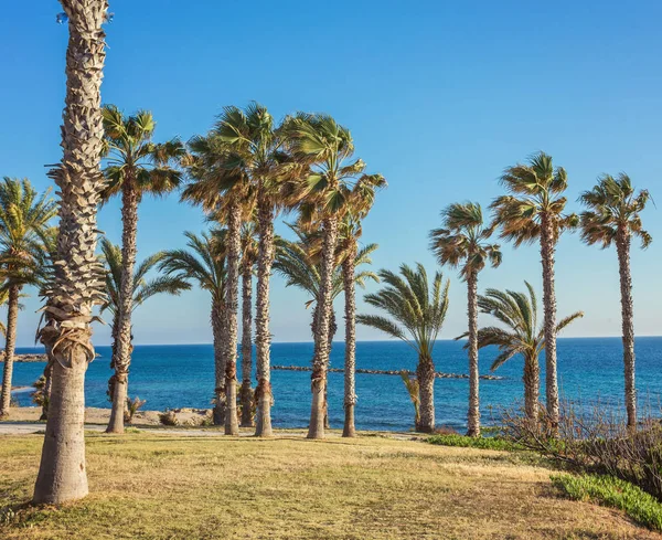 Giornata di sole nella località di Paphos, Cipro — Foto Stock