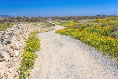 Doğa Kato Pafos arkeolojik Park, Kıbrıs için.