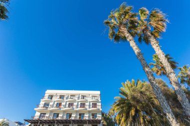 Palmiyeli güzel tropikal gün batımı