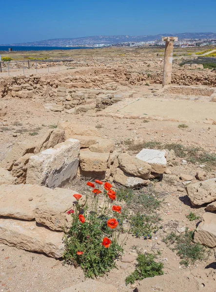 Parque Arqueológico Kato Paphos, Chipre . — Foto de Stock