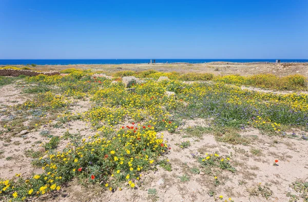 Kato Paphos Archaeological Park, Cyprus. — Stockfoto