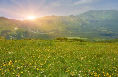 Dağlar gündoğumu sırasında alanında.