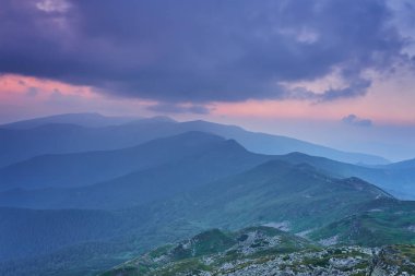 Taze yeşil çayırlar ile Alpleri'nde pastoral manzara