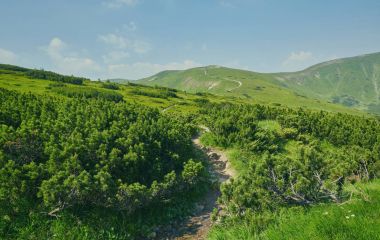 Dağlar gündoğumu sırasında alanında.