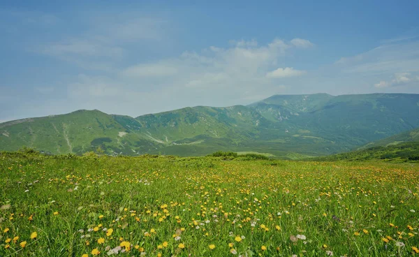 Dağlar gündoğumu sırasında alanında.