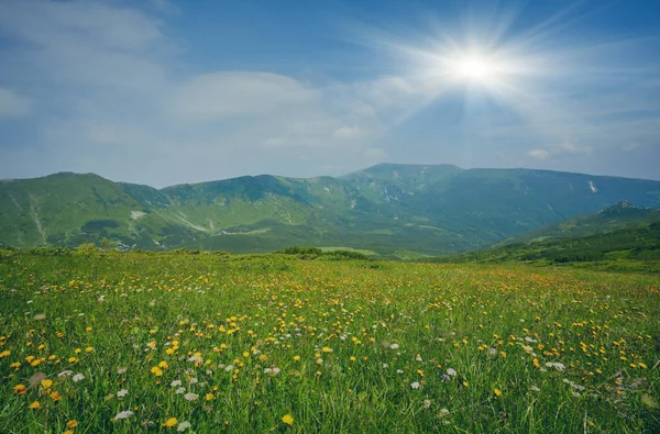 Dağlar gündoğumu sırasında alanında.
