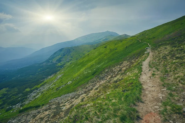 sihirli pembe ormangülü çiçek Dağları.