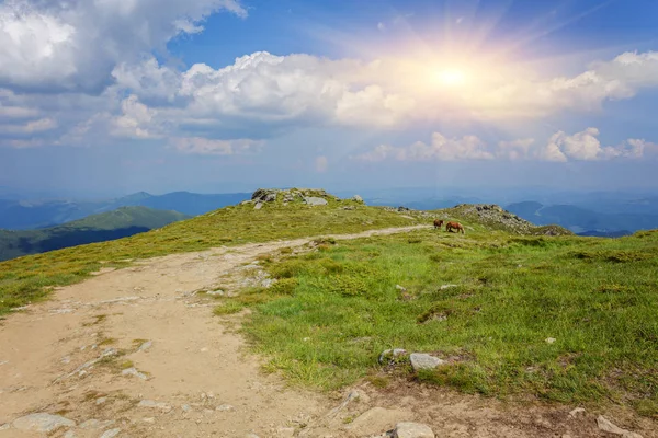 dağlarda yaz peyzaj