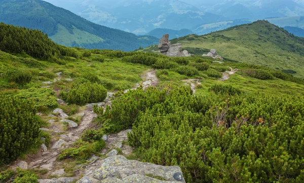 Idyllic landscape in the Alps with fresh green meadows — Stock Photo, Image