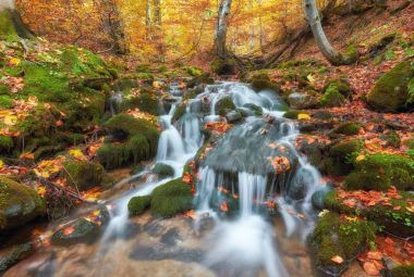 Beautiful waterfall at mountain river in colorful autumn forest  clipart