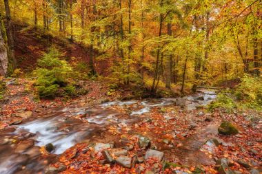hızlı dağ nehir Güz.
