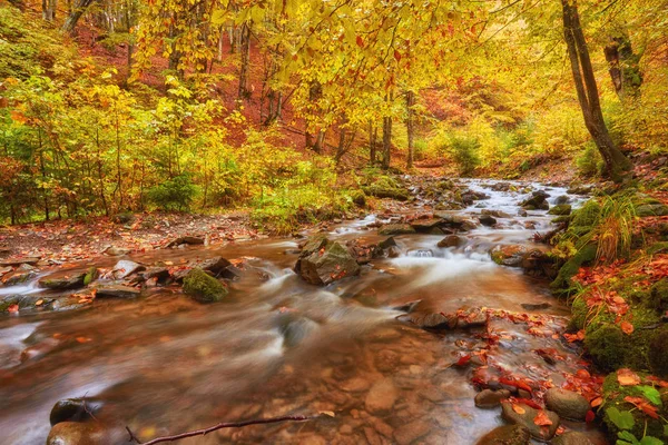 Szybkiego górskiej rzece jesienią. — Zdjęcie stockowe