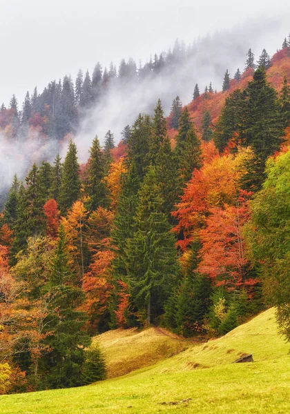 Geweldige berglandschap met mist — Stockfoto