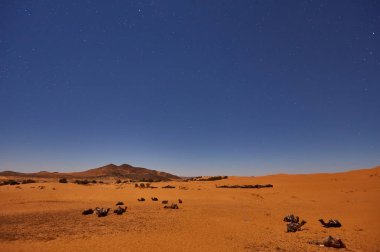 Sahara Çölü'moon star olarak ile gece kampta