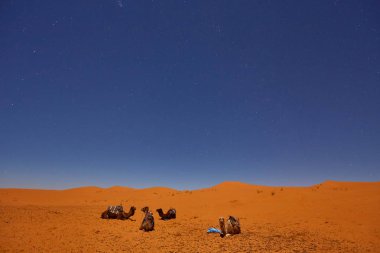 Sahara Çölü'moon star olarak ile gece kampta