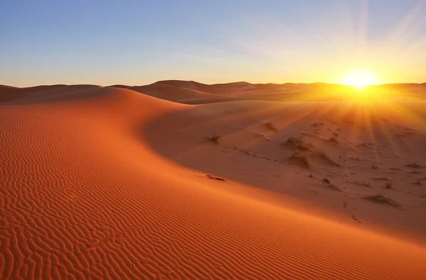 Lindas dunas de areia no deserto — Fotografia de Stock