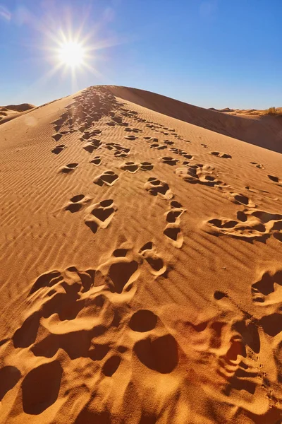 Dunas de arena en el desierto del Sahara, Marruecos — Foto de Stock