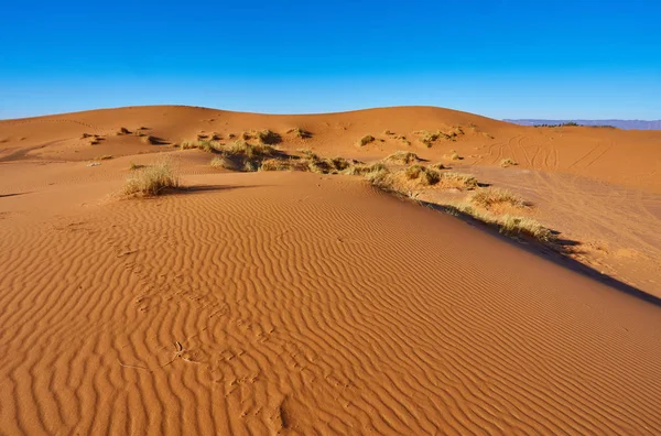 Beautiful sand dunes in the Sahara — Stock Photo, Image
