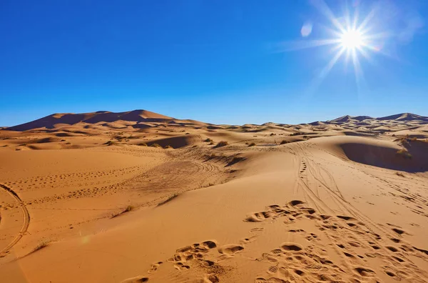 Beautiful sand dunes in the Sahara — Stock Photo, Image