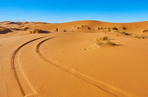 Прекрасні піщані дюни в Сахарі — стокове фото