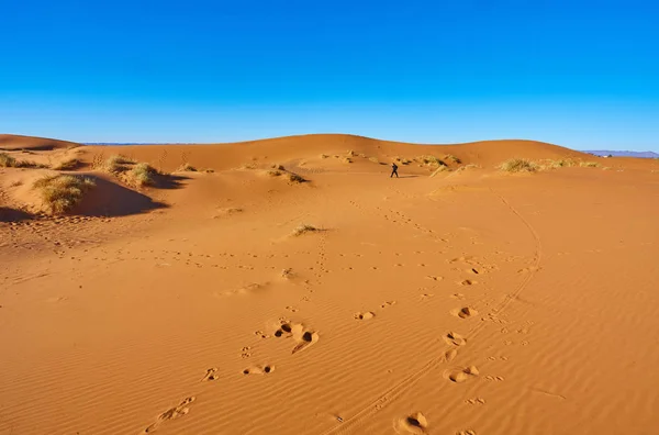 Dunas de arena en el desierto del Sahara, Marruecos —  Fotos de Stock