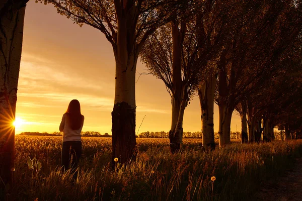 Silhuetten av en flicka som du njuter av solnedgången — Stockfoto