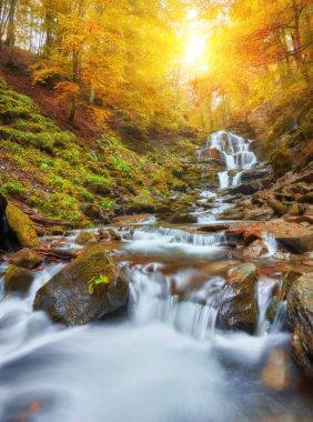 Beautiful waterfall at mountain river in colorful autumn forest  clipart