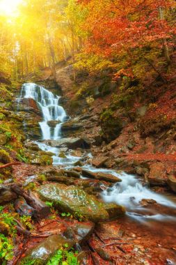 Ormanda güzel bir şelale