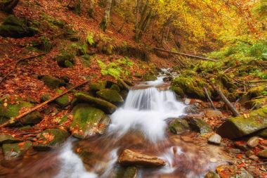 Beautiful waterfall at mountain river in colorful autumn forest  clipart