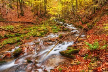 hızlı dağ nehir Güz.