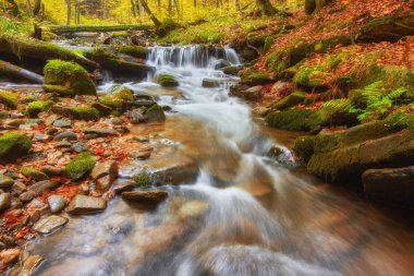 hızlı dağ nehir Güz.