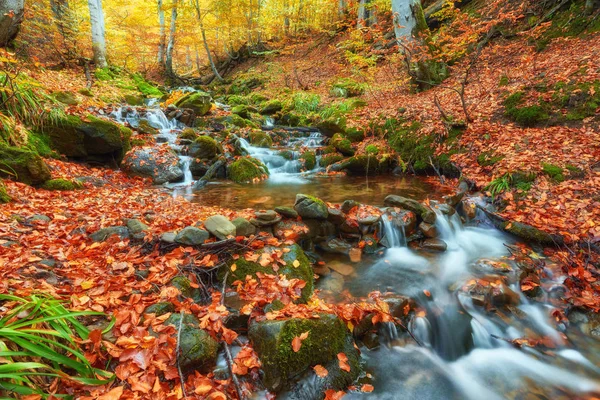 Швидка гірська річка восени . — стокове фото