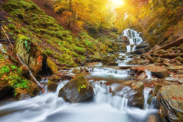 autumn stream in the forest, gold autumn European landscape