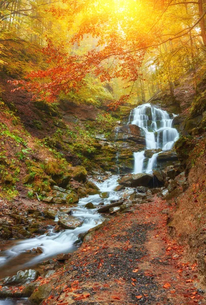 Schöner Wasserfall im Wald — Stockfoto