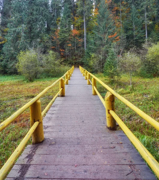 Puente de madera sobre el arroyo en otoño — Foto de Stock