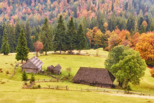 Paysage d'automne coloré dans le village de montagne. Foggy matin — Photo